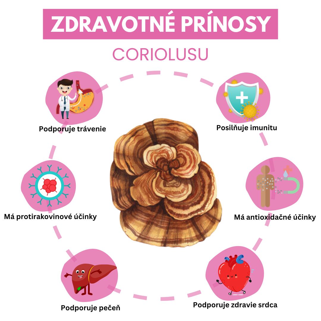 Zdravotné prínosy Coriolusu